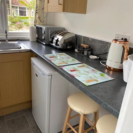 Apartament 24Trenance New Quay Zewnętrze zdjęcie